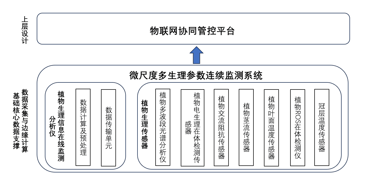 微尺度多生理参数连续监测系统架构图